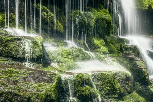Tasmanian Waterfall - 900880112