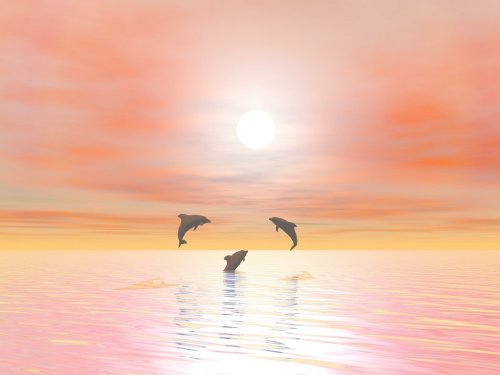 Happy dolphins - 3D render - 900918366