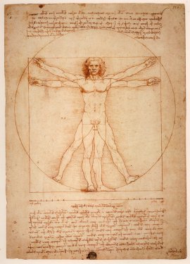 Vitruvian Man by Leonardo da Vinci - 901137535