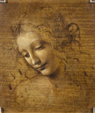 Female Head (La Scapigliata) par Leonardo da Vinci