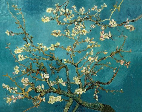 Branches of an Almond Tree in Blossom par Vincent van Gogh