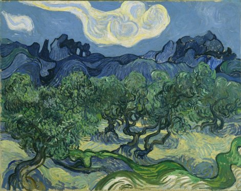 The Olive Trees par Vincent van Gogh