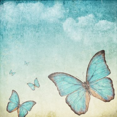 Vintage background with a blue butterfly - 901137732