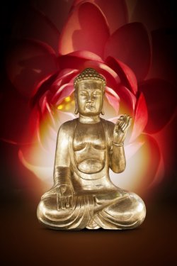 Bouddha et Meditation - 901137787