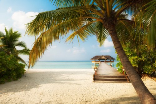 Einsamer Strand auf den Malediven - 901137903
