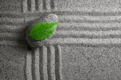 zen stone with leaf
