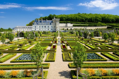 Villandry Castle with garden, Indre-et-Loire, Centre, France - 901138320