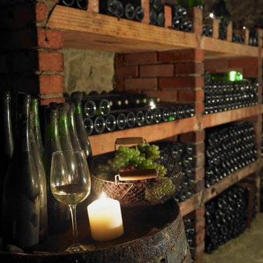 wine cellar, Czech Republic