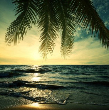 Tropical beach - 901139139