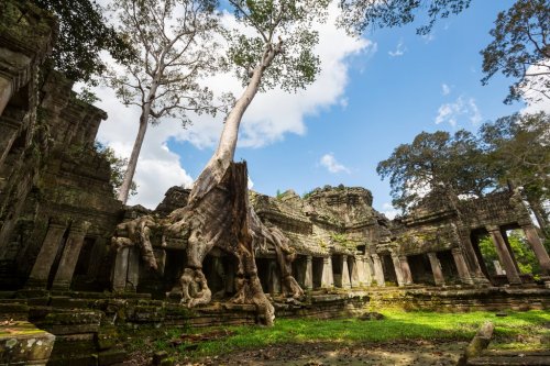 Angkor - 901139159