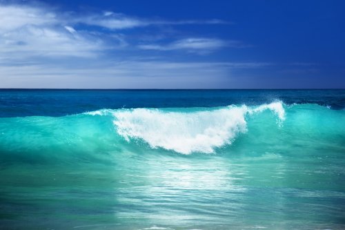wave on the beach - 901139252