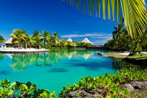 Tropical resort with a green lagoon and palm trees - 901139277