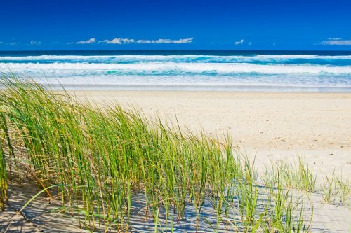 Grass and sandy beach on sunny day of Gold Coast