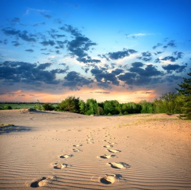 Footprints in the sand - 901139323