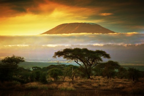 Mount Kilimanjaro. Savanna in Amboseli, Kenya - 901139418