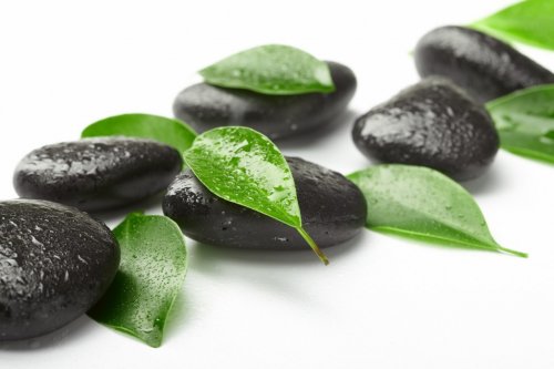 black stones and green leaves - 901139592