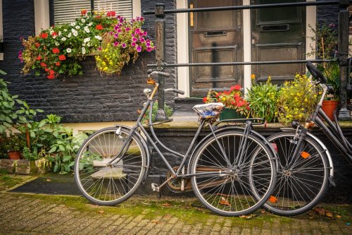 Bicycles in Amsterdam - 901139712