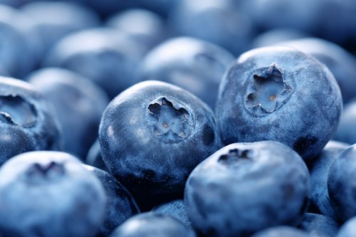 blueberries - 901139864