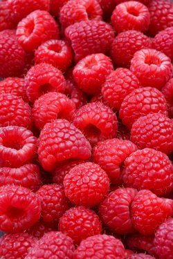 raspberries - 901139866