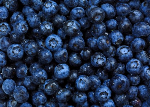 blueberries background - 901139875
