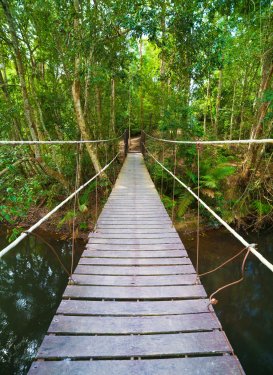 Bridge to the jungle,Khao Yai national park,Thailand - 901139995