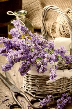 Bunch of freshly cut lavender - 901140040