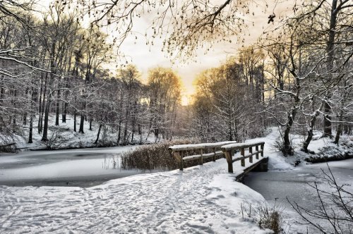 Winter landscape with a wooden bridge - 901140067
