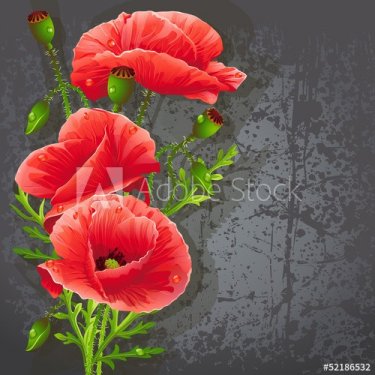 Background for your text with red poppies. - 901140423