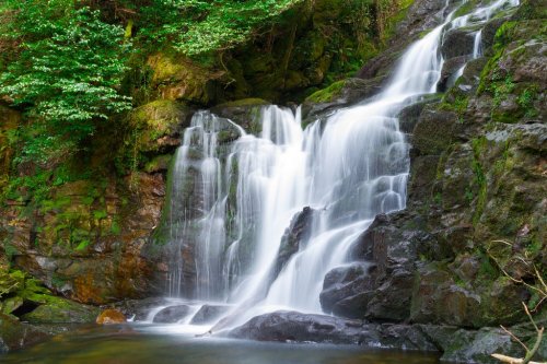Torc waterfall in Killarney National Park, Ireland - 901140655