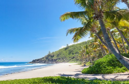 plage tropicale de Grande Anse, Ã®le de la RÃ©union - 901141122