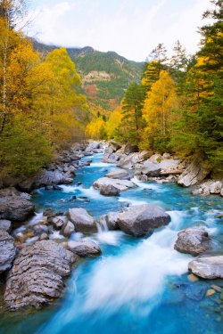 Rio Ara river Bujaruelo in Valle de Ordesa valley Pyrenees Huesc - 901141325