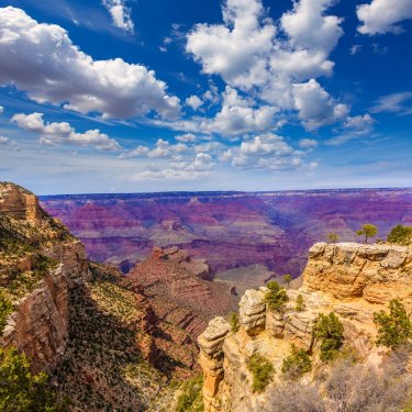 Arizona Grand Canyon Park Mother Point and Amphitheater - 901141375