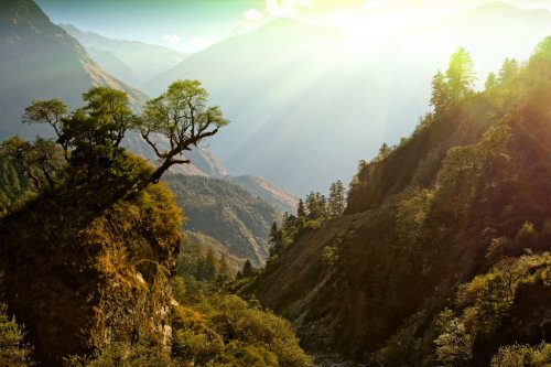 enchanted mountain landscape, Nepal - 901141489