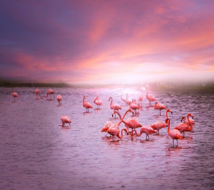 Flamingo - 901141563