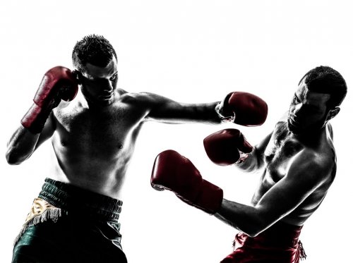 two men exercising thai boxing silhouette - 901141896