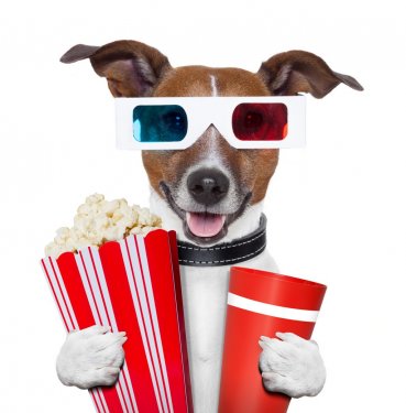 3d glasses movie popcorn dog