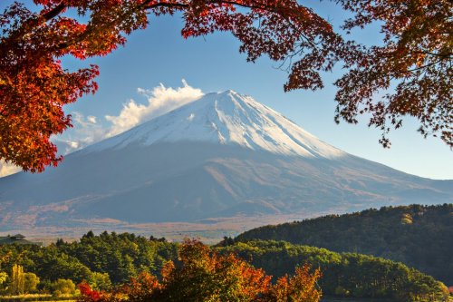 Mt. Fuji in Autumn - 901142730