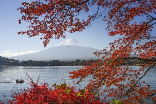 Mt. Fuji in Fall