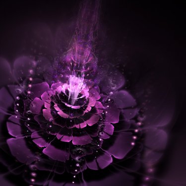 Dark pink fractal flower, digital artwork - 901142857