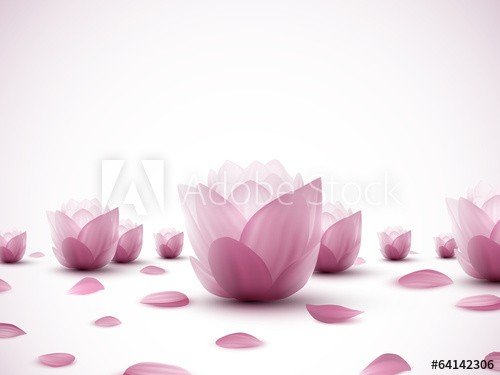 vector lotus flowers - 901142888