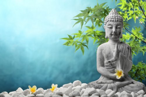 Buddha in meditation - 901143138