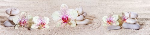 Panorama with orchids and zen stones in the sand - 901143241
