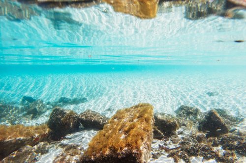 Underwater backdrop with white sand and rocks