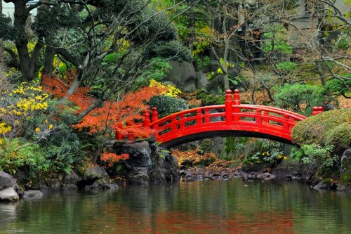 Japanese garden - 901143395