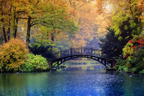 Autumn - Old bridge in autumn misty park - 901143577