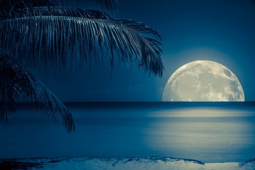 Moon reflected on the water of a tropical beach - 901143578