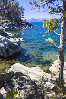 Beautiful Shoreline of Lake Tahoe - 901143694
