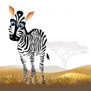 Zebra in African landscape - 901143923
