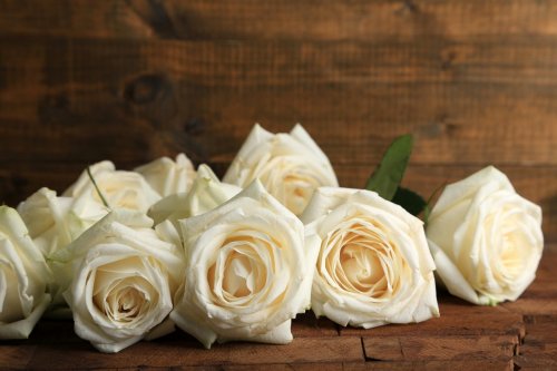 Beautiful white roses on wooden table - 901144202