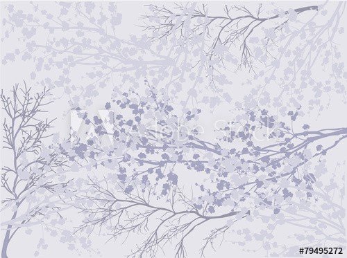 light background from spring tree blossoming branches - 901144236